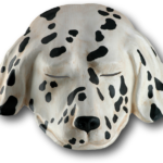 Cane