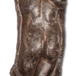 Torso